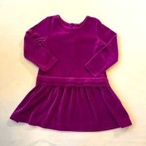 Hanna Andersson Plum Velvet Dress